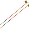 LEKI HRC Max skistav